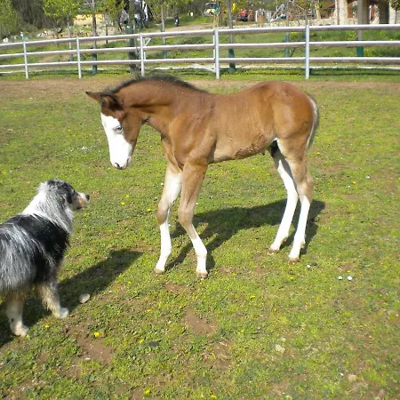 Farm stay Pietra Cavalla - Ranch &